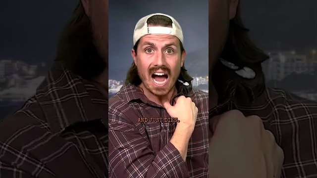 Van Life Gone Horribly Wrong