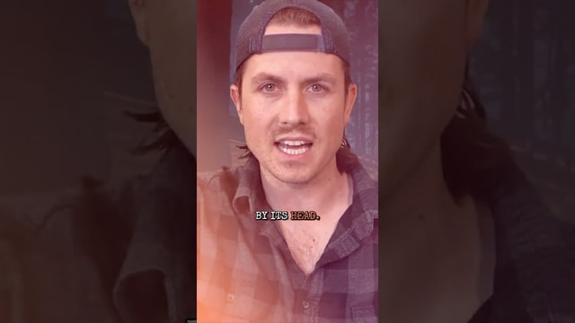 Every Park Rangers WORST Nightmare.....